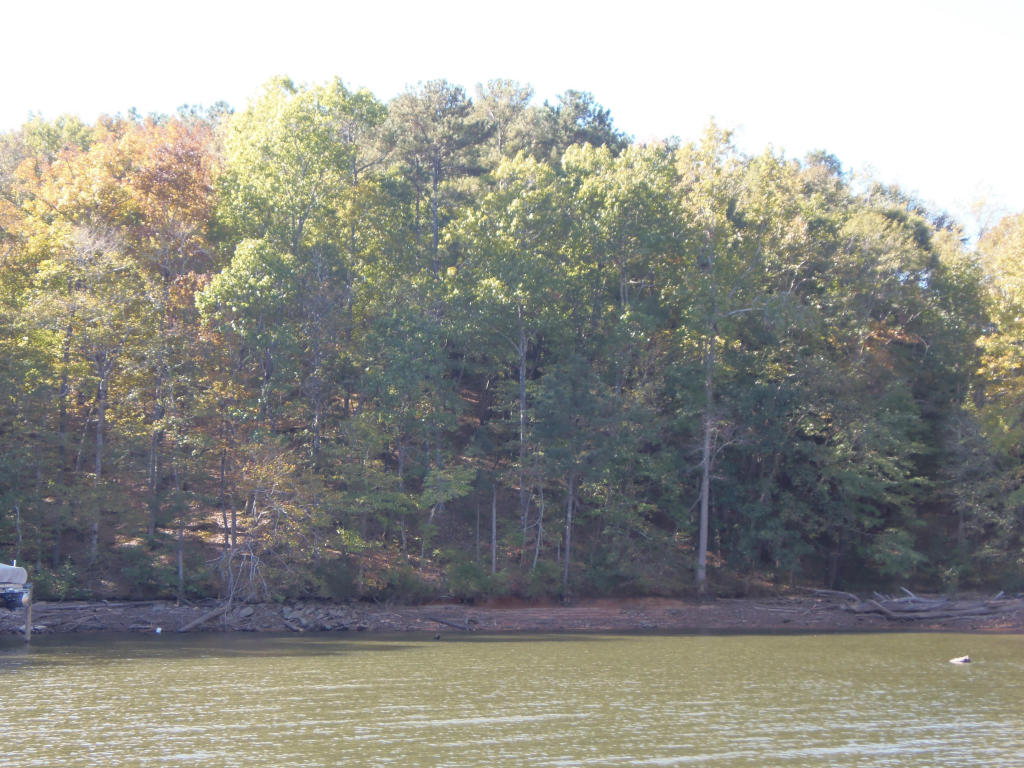 Lot 61 Hickory Trail, Jacksons Gap, AL 36861