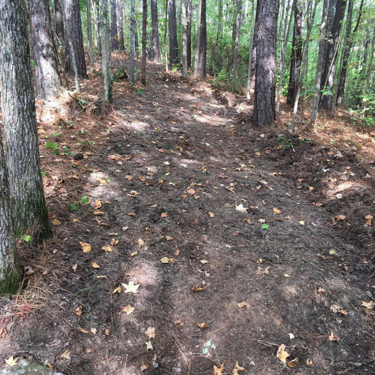 Lot 61 Hickory Trail, Jacksons Gap, AL 36861