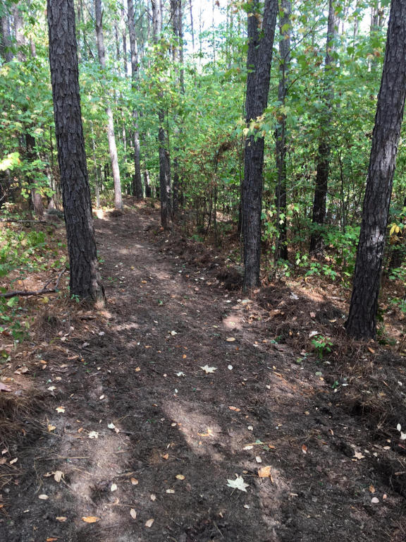Lot 61 Hickory Trail, Jacksons Gap, AL 36861