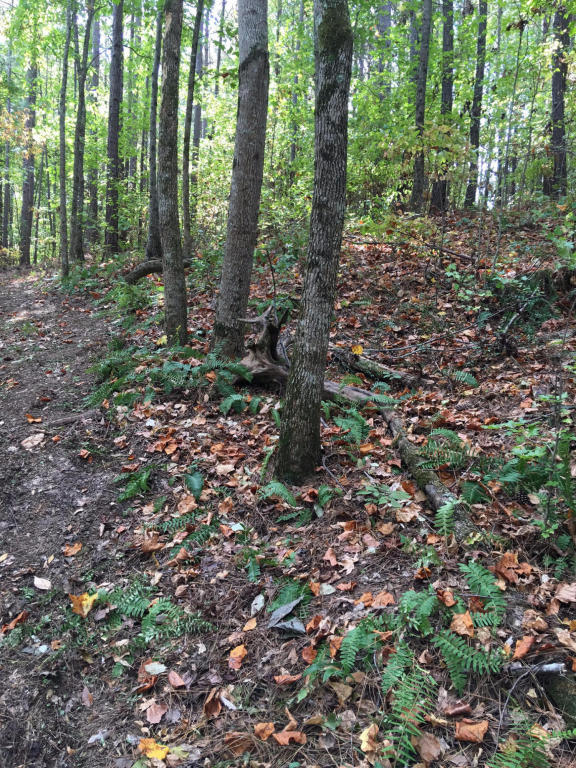 Lot 61 Hickory Trail, Jacksons Gap, AL 36861