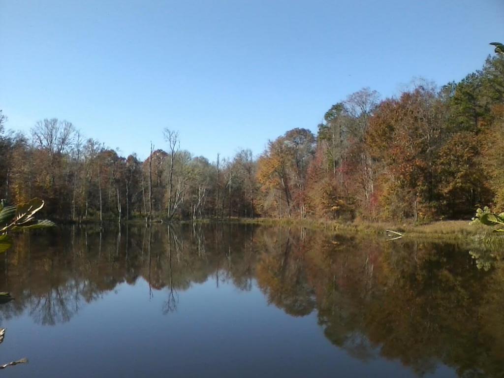 Shack Creek, Jacksons Gap, AL 36861