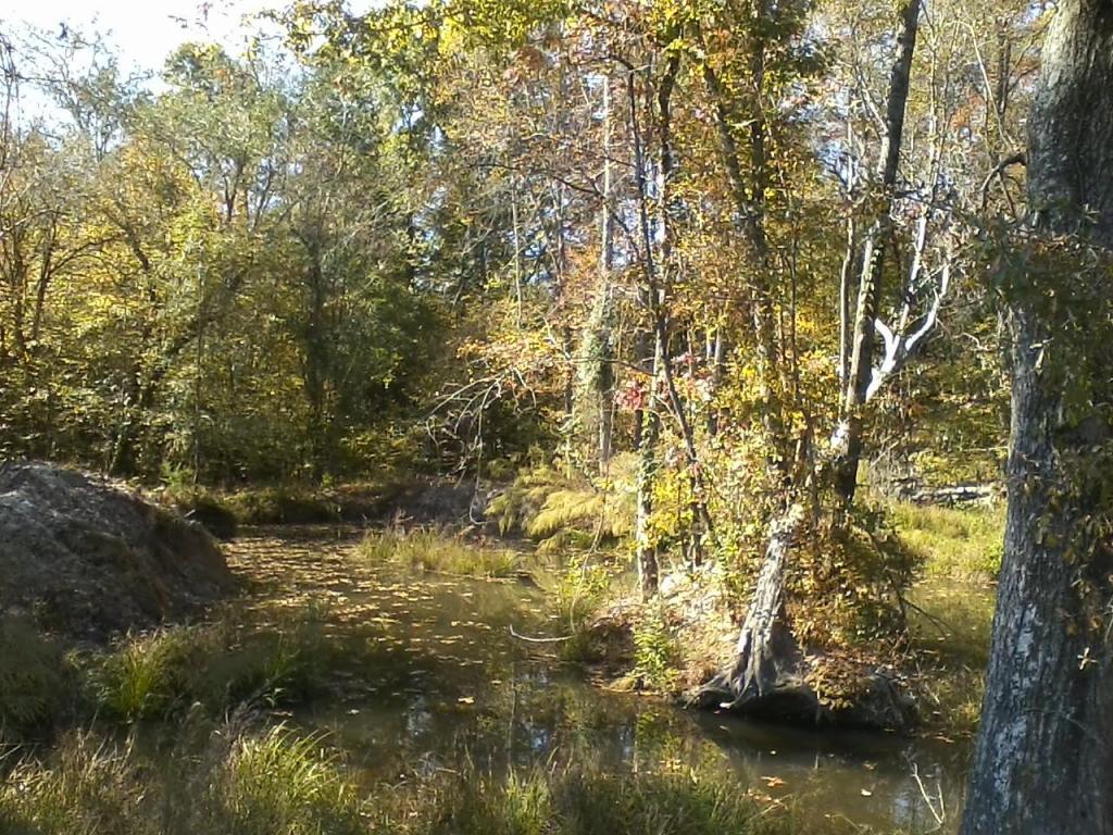 Shack Creek, Jacksons Gap, AL 36861