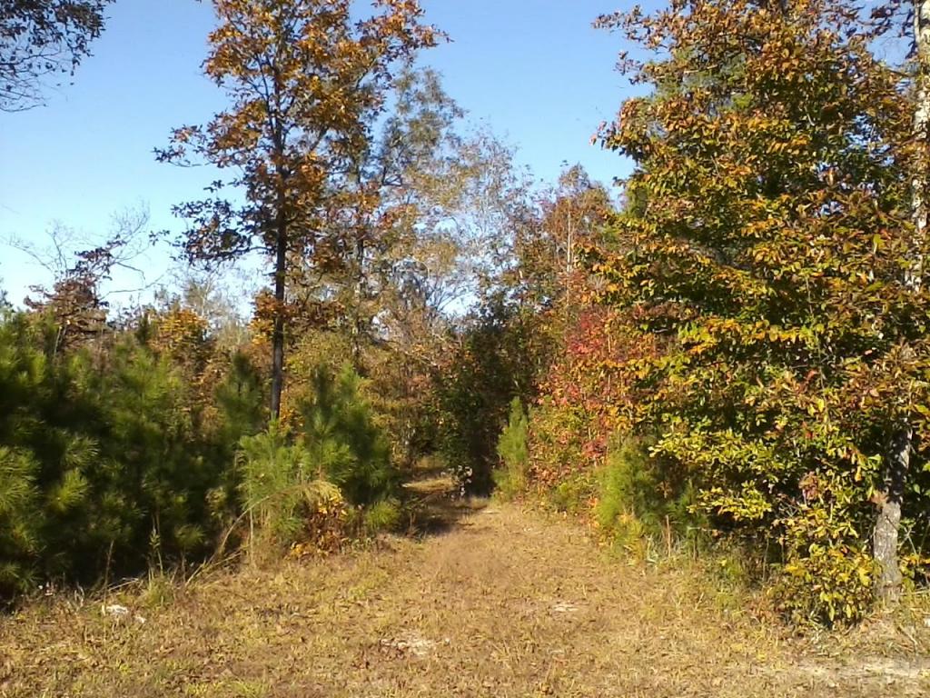 Shack Creek, Jacksons Gap, AL 36861