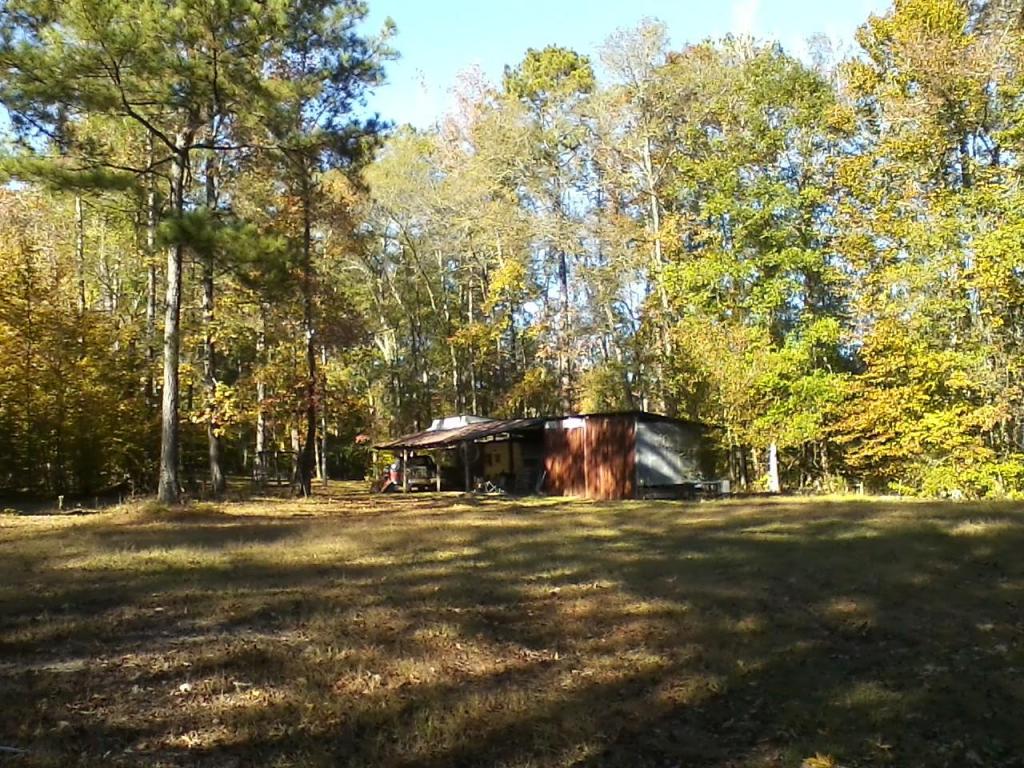 Shack Creek, Jacksons Gap, AL 36861