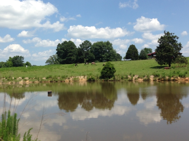 1141 COUNTY ROAD 0031, Notasulga, AL 36866