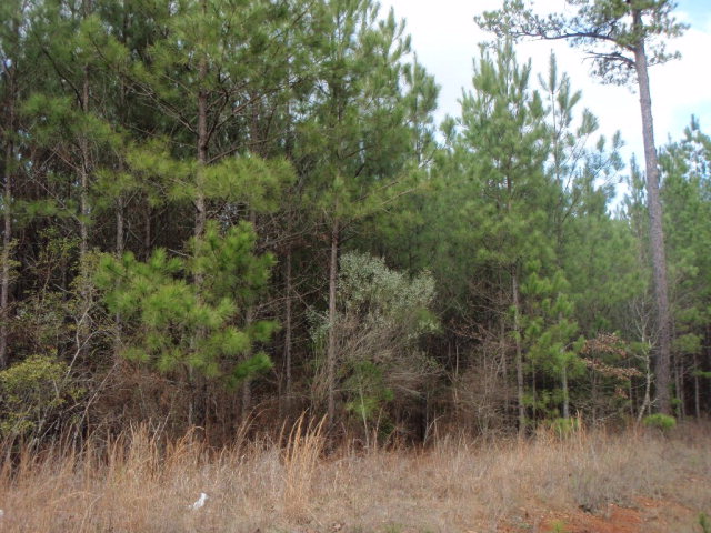 0 Lee Rd 330, Smiths Station, AL 36877