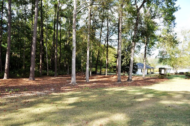 3 Lee Rd 605, Smiths Station, AL 36877