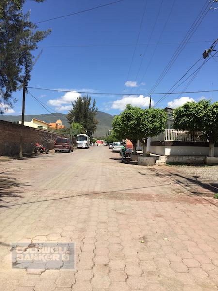 Prolongacion Independencia, Sayula, Mexico 49304