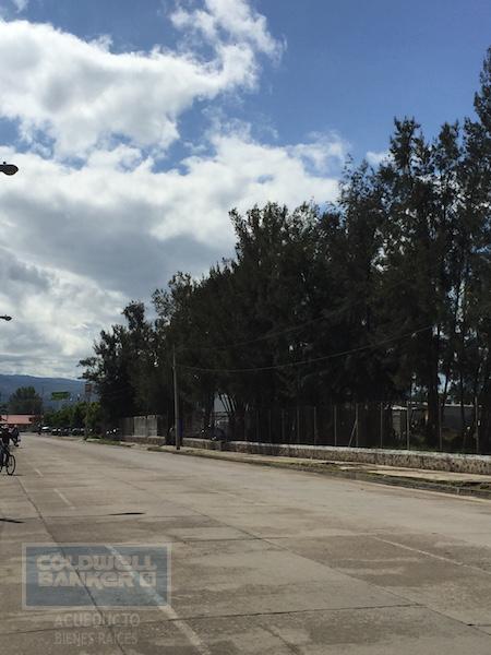 Av. Manuel Avila Camacho, Sayula, Mexico 49304