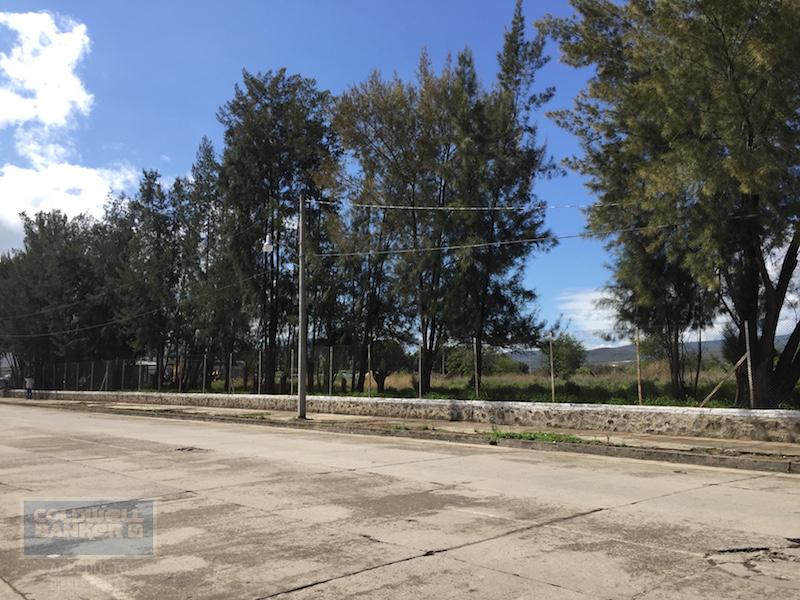 Av. Manuel Avila Camacho, Sayula, Mexico 49304