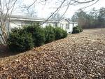 615 AVALON RD ,AR, Star City, 71667