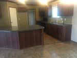 115 CHOKEBERRY CT