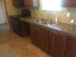 115 CHOKEBERRY CT
