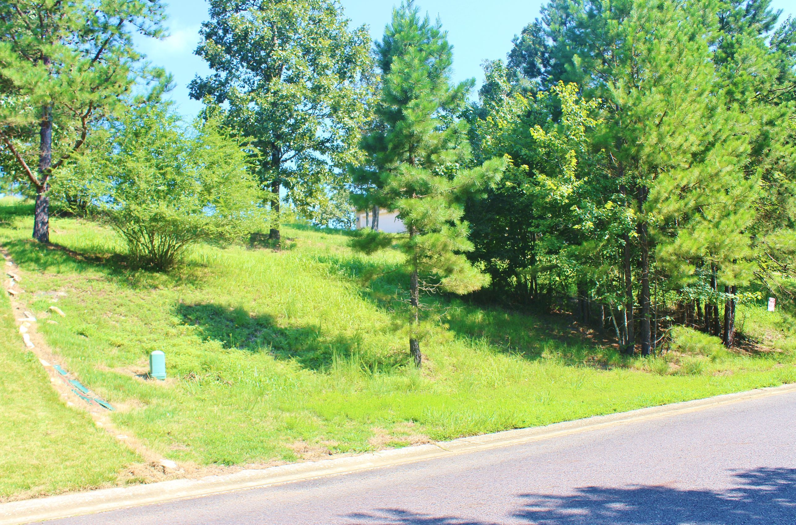 112 Lake Forest Shores Drive, Hot Springs, AR 71913