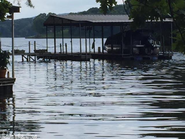 000 S lakeland, Hot Springs, AR 71913