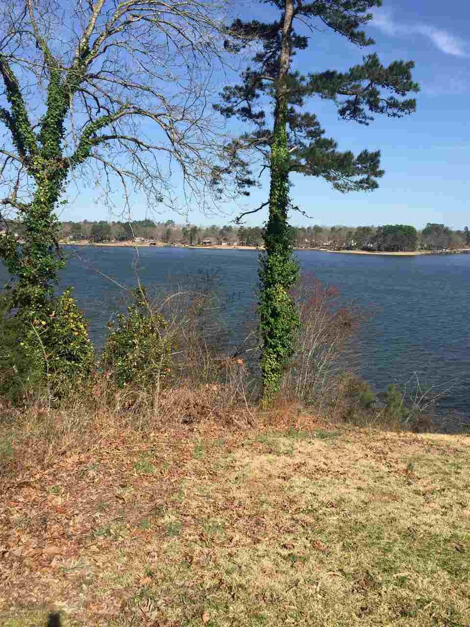 000 OLD BRUNDAGE ROAD, Hot Springs, AR 71913