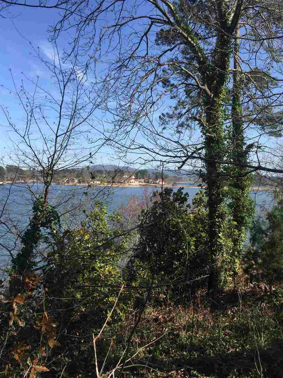 000 OLD BRUNDAGE ROAD, Hot Springs, AR 71913