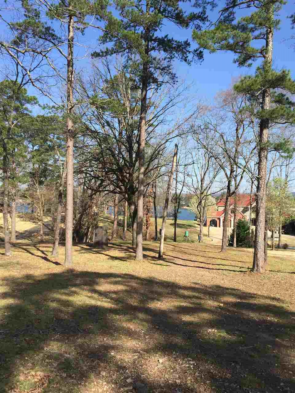 000 OLD BRUNDAGE ROAD, Hot Springs, AR 71913