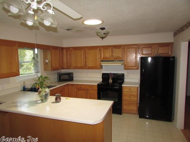 307 Moore Loop, Bismarck, AR 71929