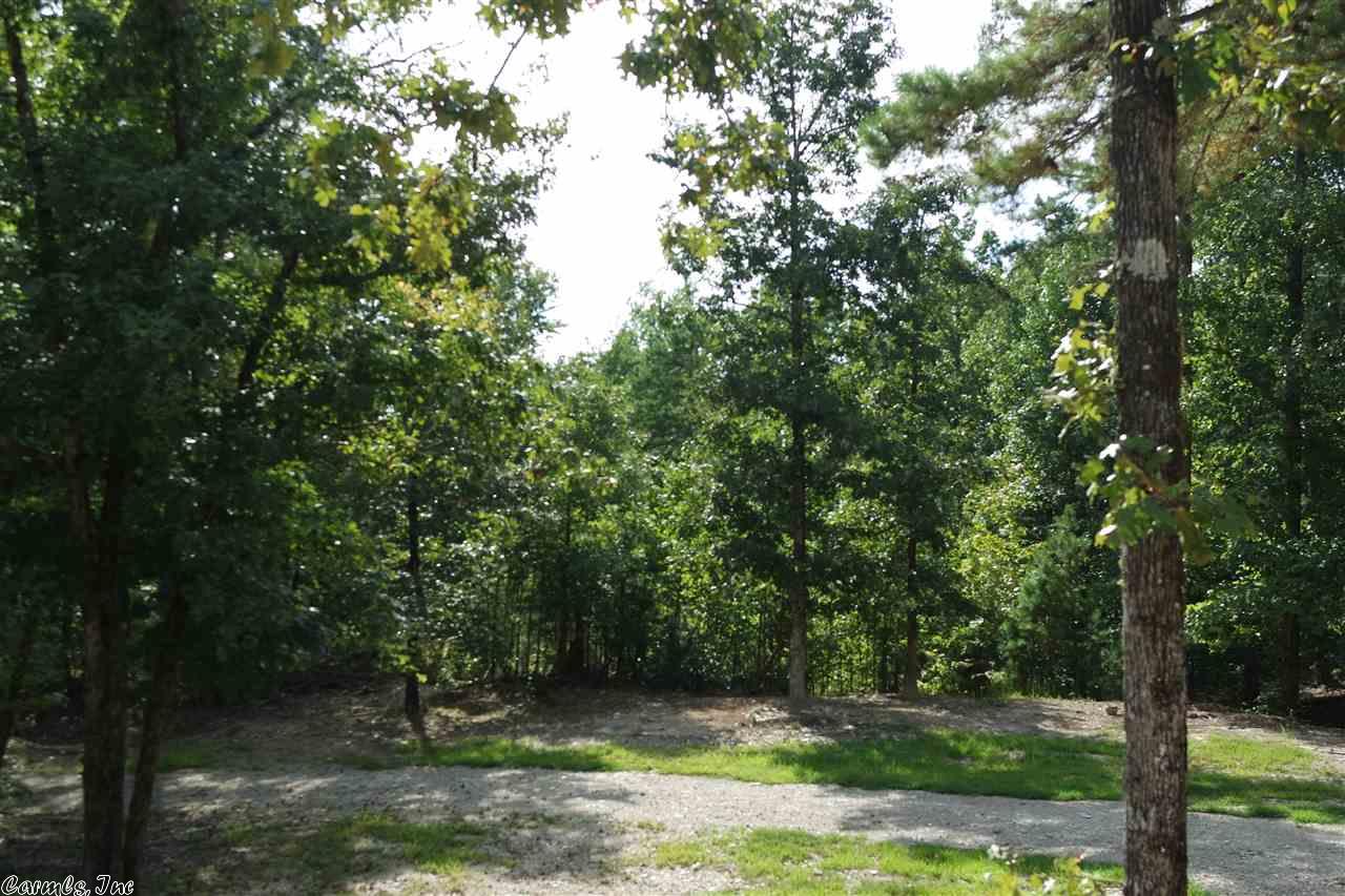 1325 Buckville Road, Jessieville, AR 71949