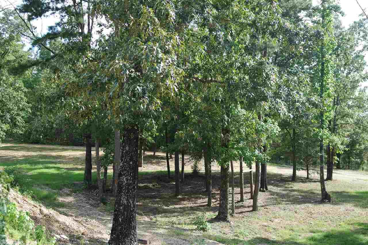 1325 Buckville Road, Jessieville, AR 71949