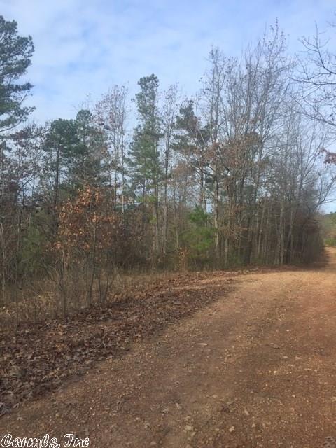 Unk Chaparrel Lane, Mena, AR 71953