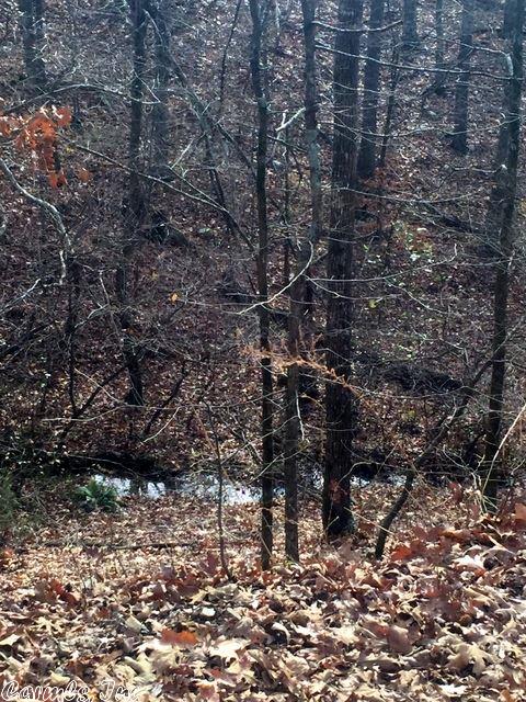 Unk Chaparrel Lane, Mena, AR 71953