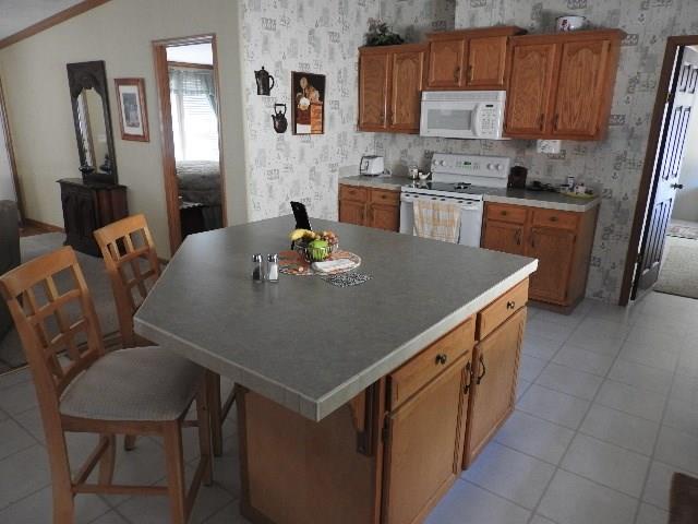14 BarefootLN, Mt Ida, AR 71957