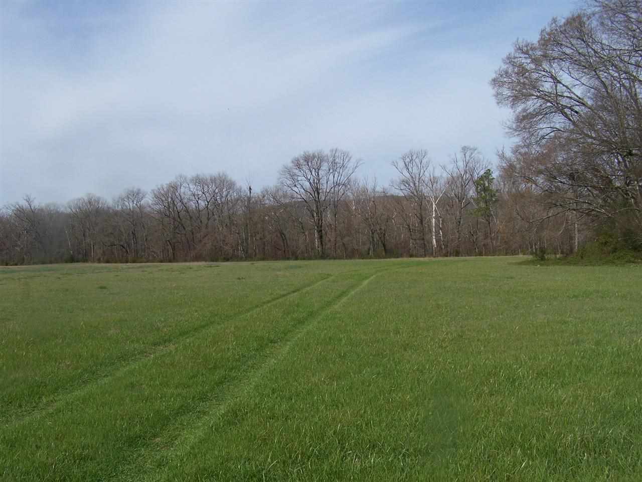 24 acres GLAZYPEAU ROAD, Mountian Pine, AR 71958