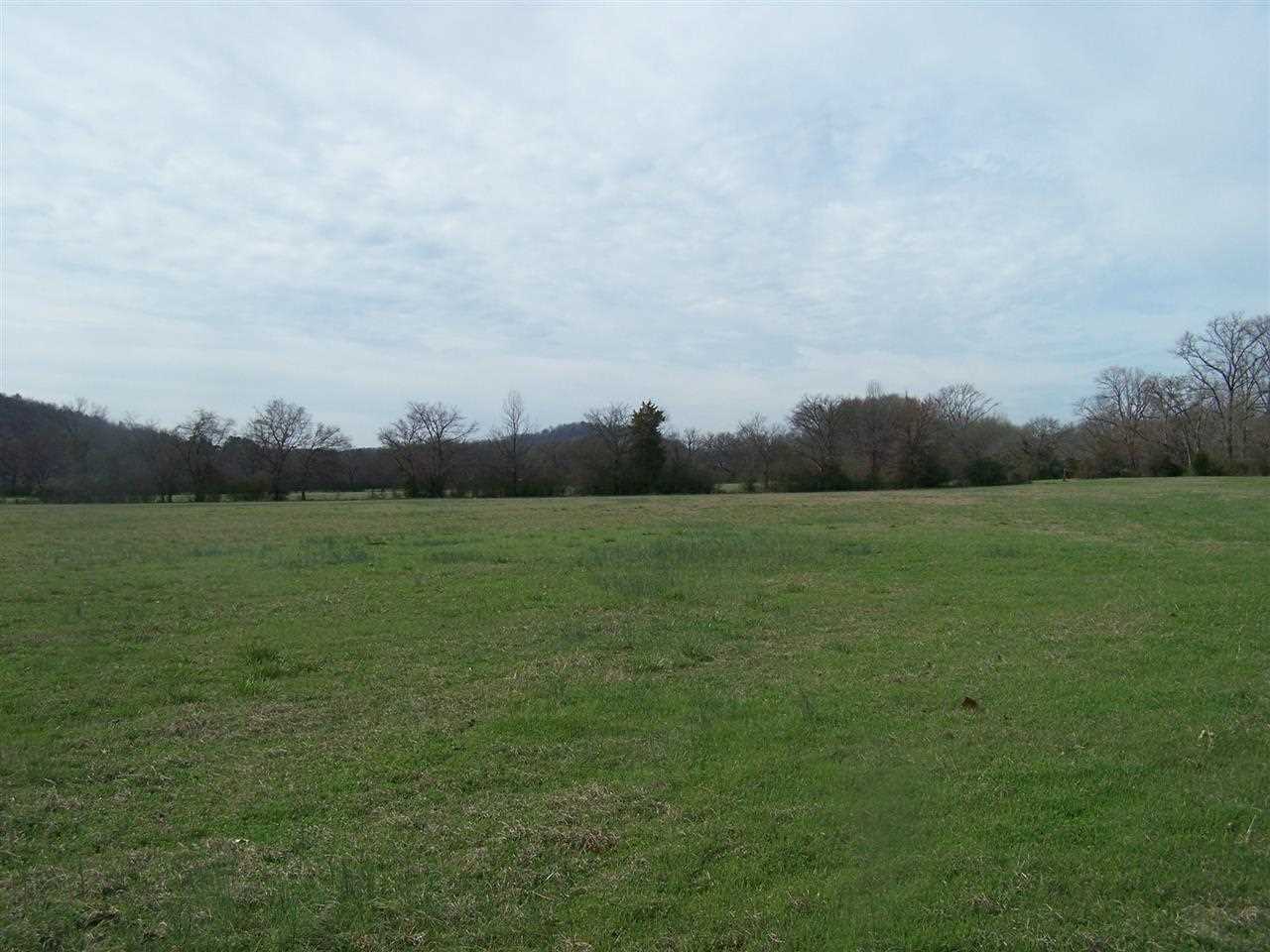 24 acres GLAZYPEAU ROAD, Mountian Pine, AR 71958