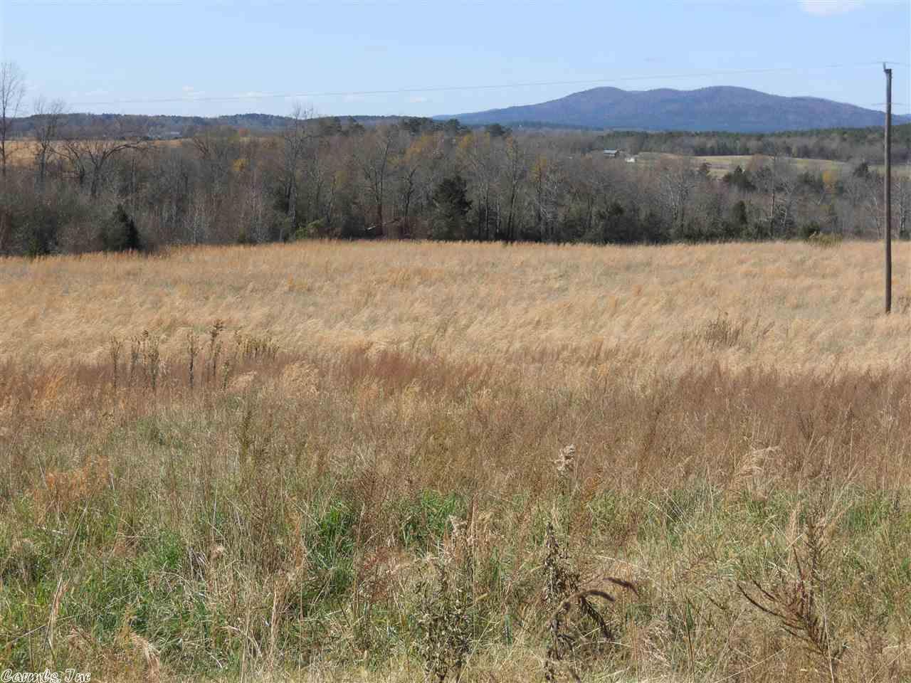 258 Ridge Road, Oden, AR 71961