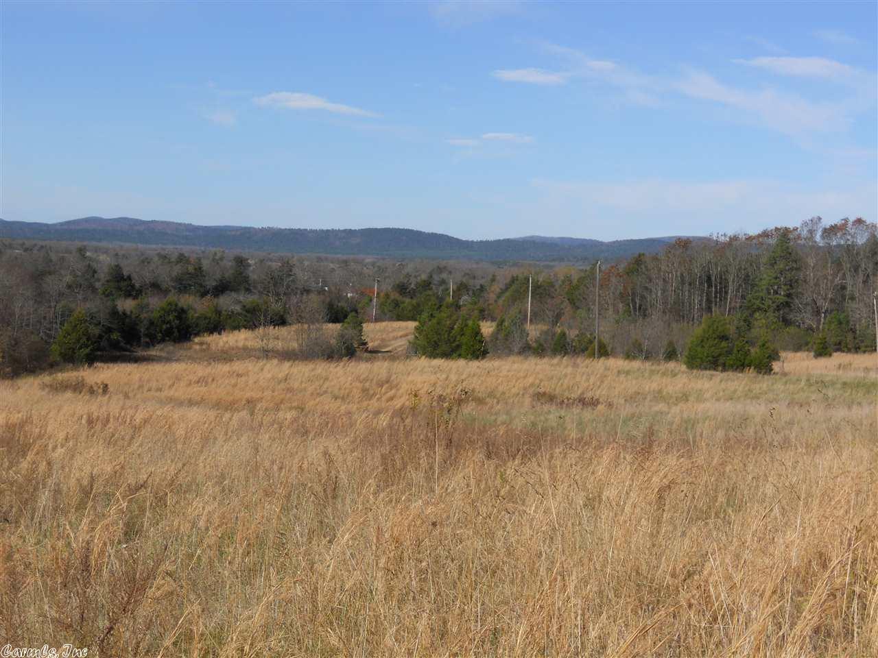 258 Ridge Road, Oden, AR 71961