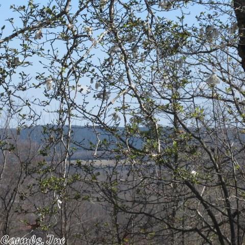 1239 Hwy 65 S, Clinton, AR 72031