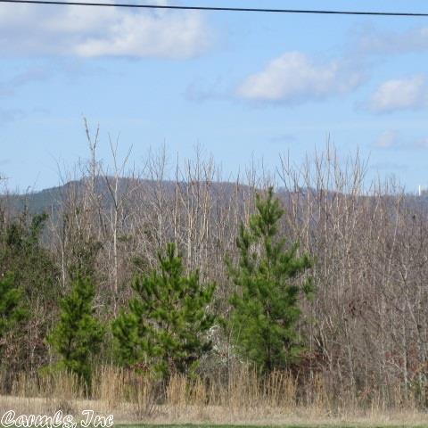 1239 Hwy 65 S, Clinton, AR 72031
