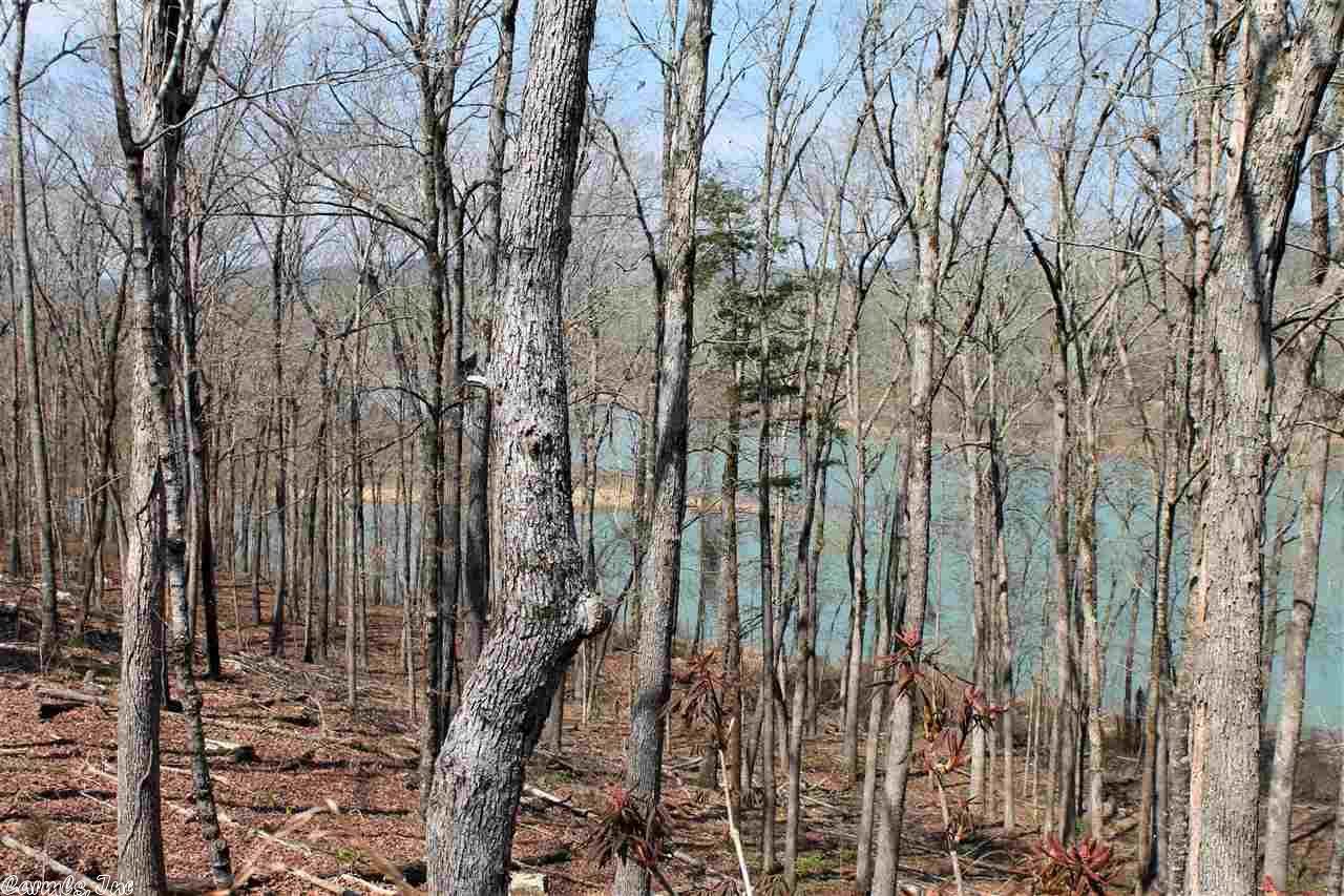 19-11-13 47.5 Acres ML, Clinton, AR 72031