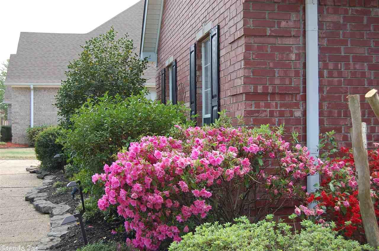 115 Roosevelt Circle, Conway, AR 72034