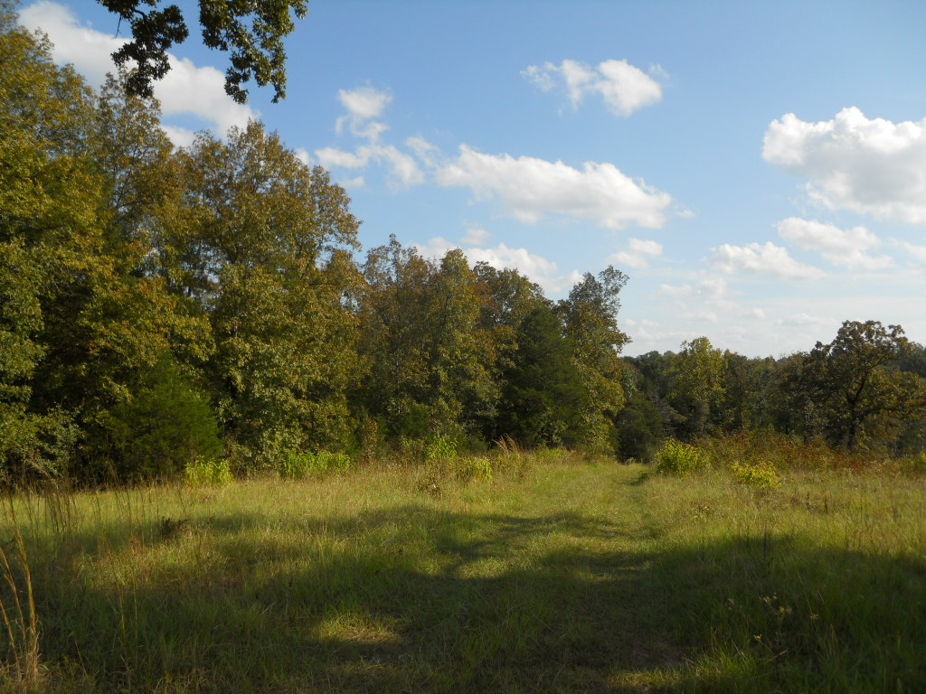 00 Barney Road, Enola, AR 72047