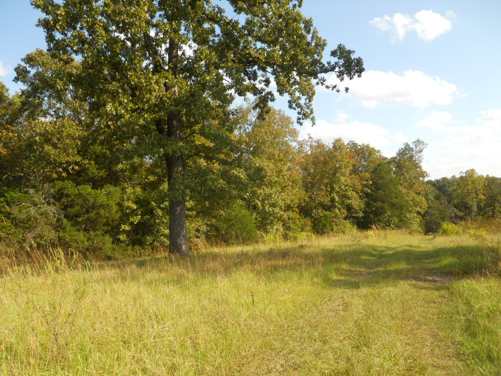00 Barney Road, Enola, AR 72047