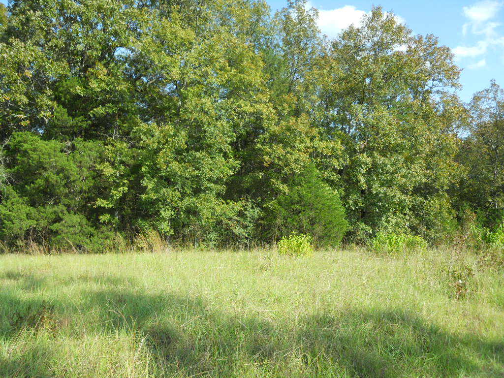 00 Barney Road, Enola, AR 72047