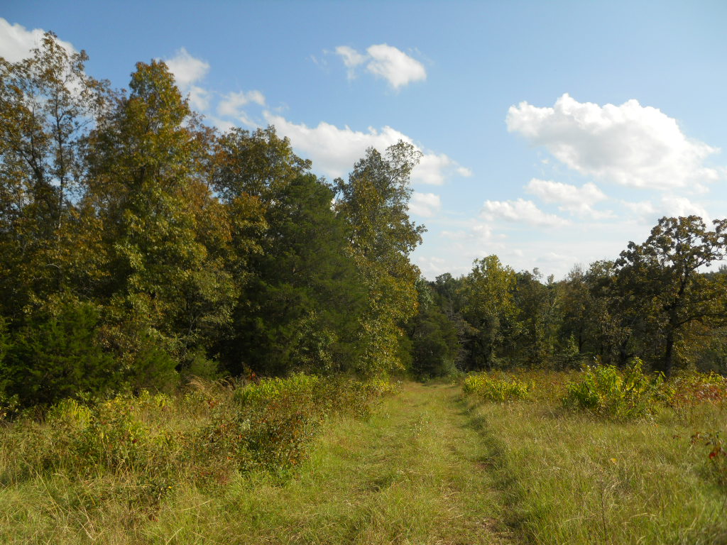 00 Barney Road, Enola, AR 72047