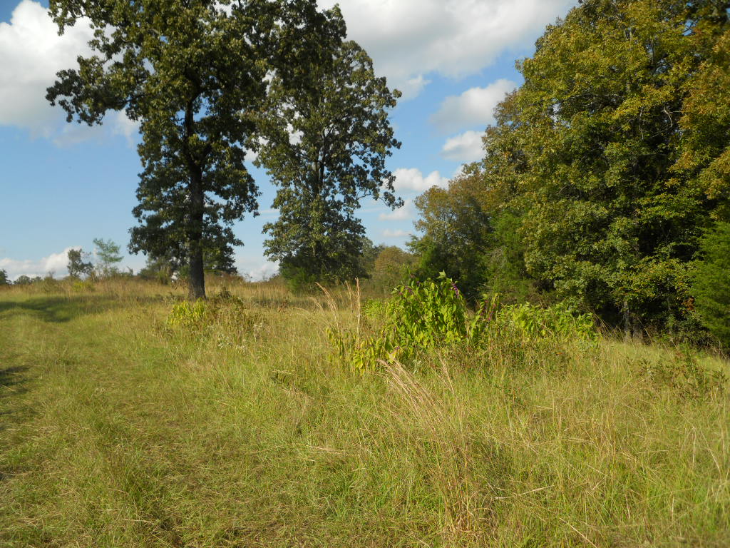 00 Barney Road, Enola, AR 72047