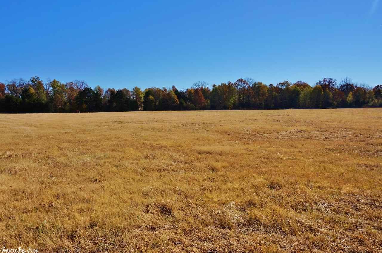 112 Country Acres Lane, Mt. Vernon, AR 72111