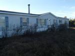 369 MOUNT NEBO RD