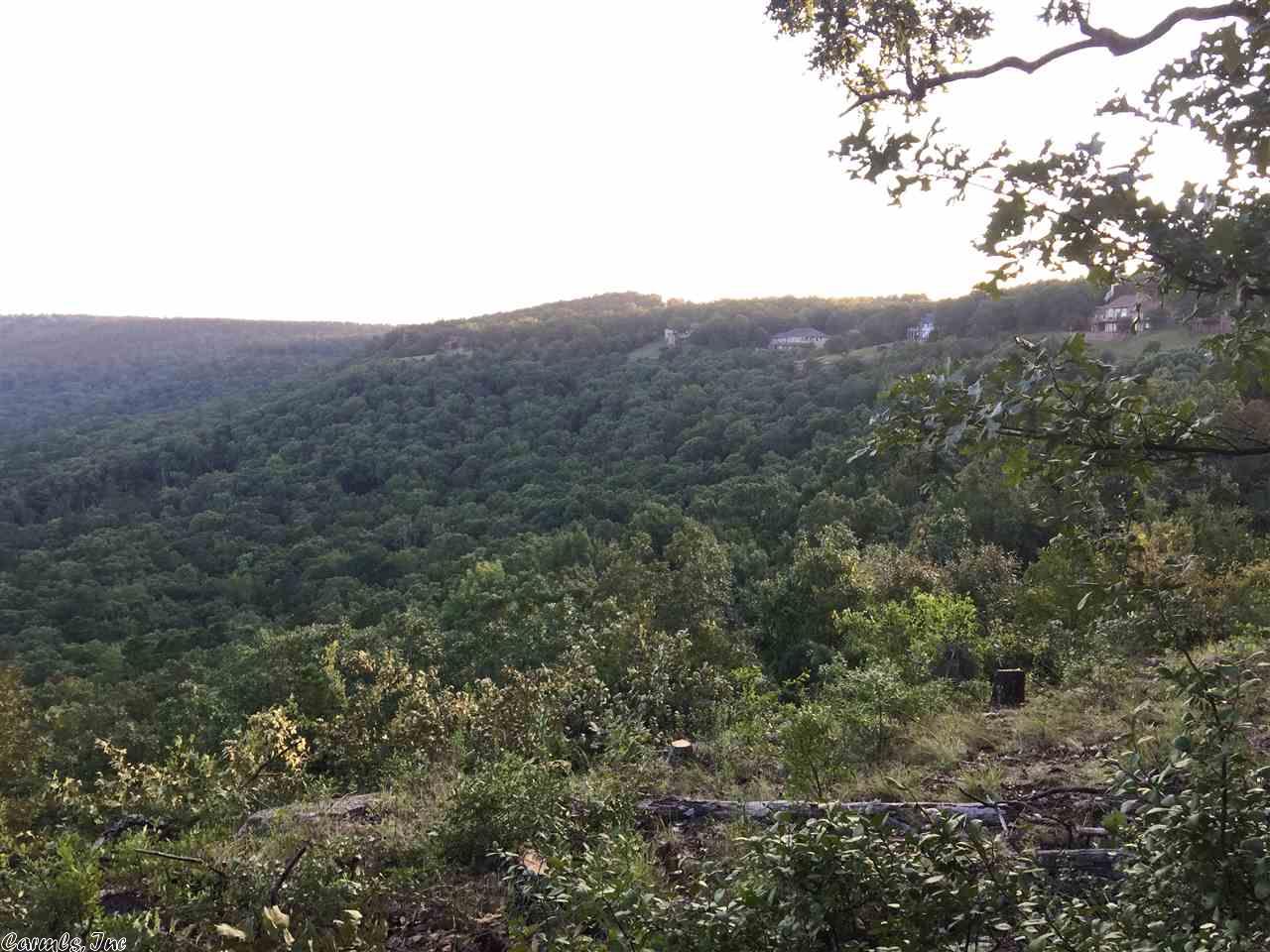 Lot 1 Diamond Bluff Rd. , Quitman, AR 72131