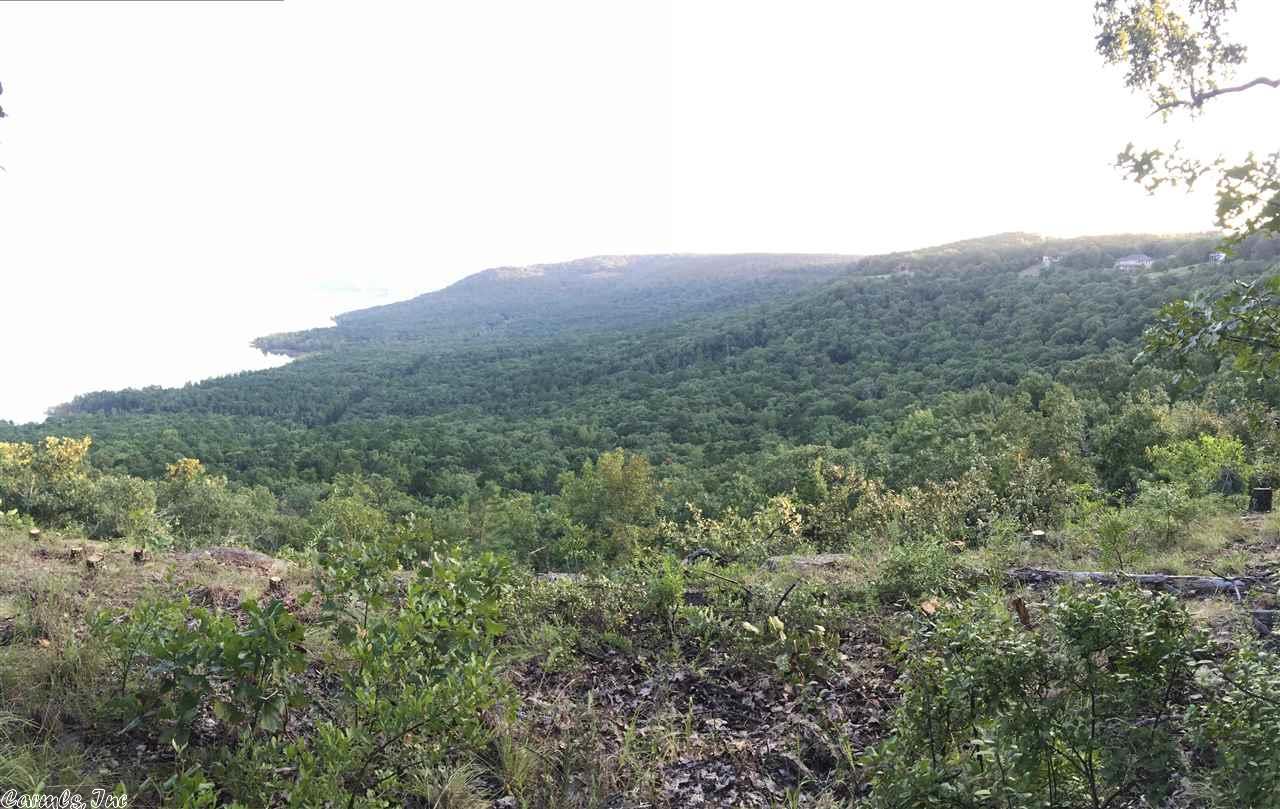 Lot 1 Diamond Bluff Rd. , Quitman, AR 72131