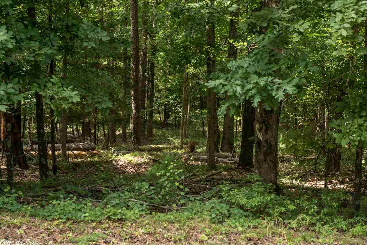 Whispering Pine, Little Rock, AR 72210