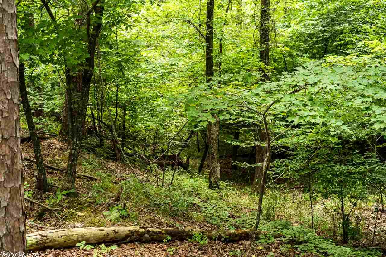 Whispering Pine, Little Rock, AR 72210
