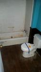 103 WEBB RD ,AR, Colt, 72326