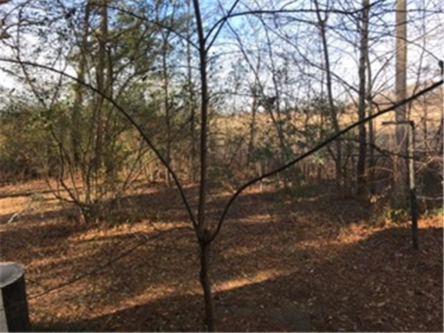 144 S Us Highway 61Joiner, AR, 72350Mississippi County