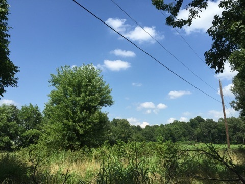 1200 & 1202 Warren, Jonesboro, AR 72401